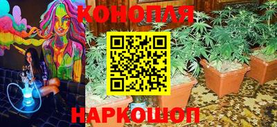 спиды Майкоп
