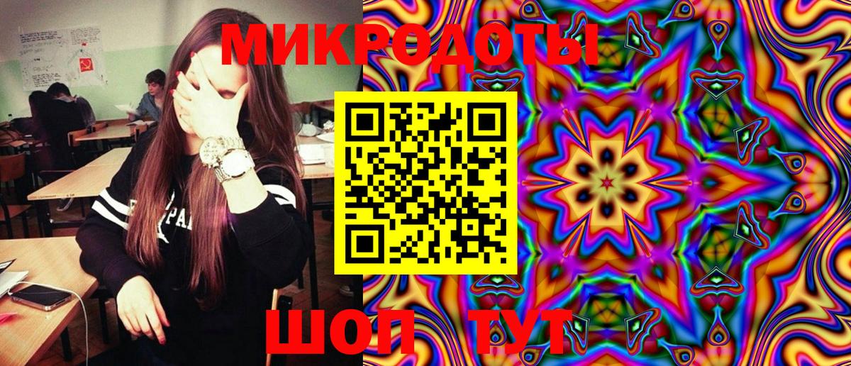 Псилоцибиновые грибы Cubensis Дивногорск